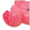 Boia Inflável Flamingo Rosa 57558 Intex