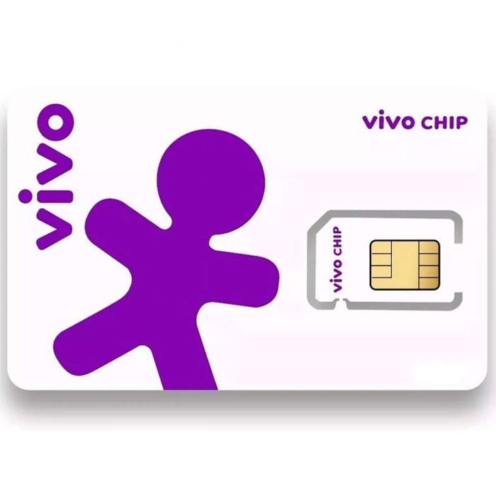 Chip Vivo YGSC244U600